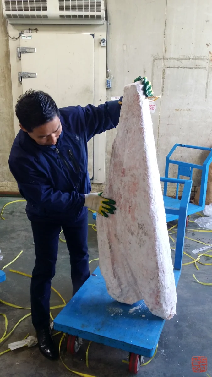 Gold Tuna fresh bluefin tuna body, premium tuna dismantling, high-quality ingredients
