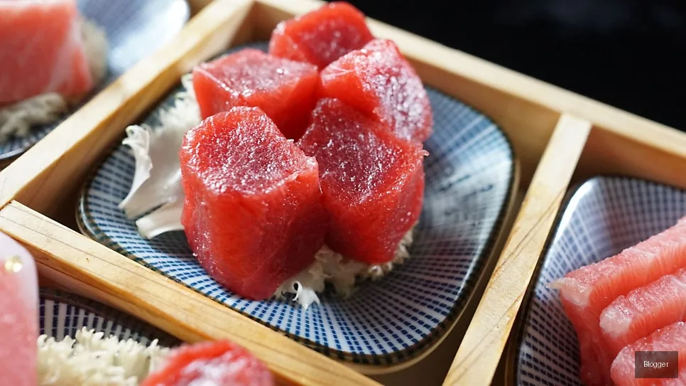 골드참치 오마카세 정갈한 초밥