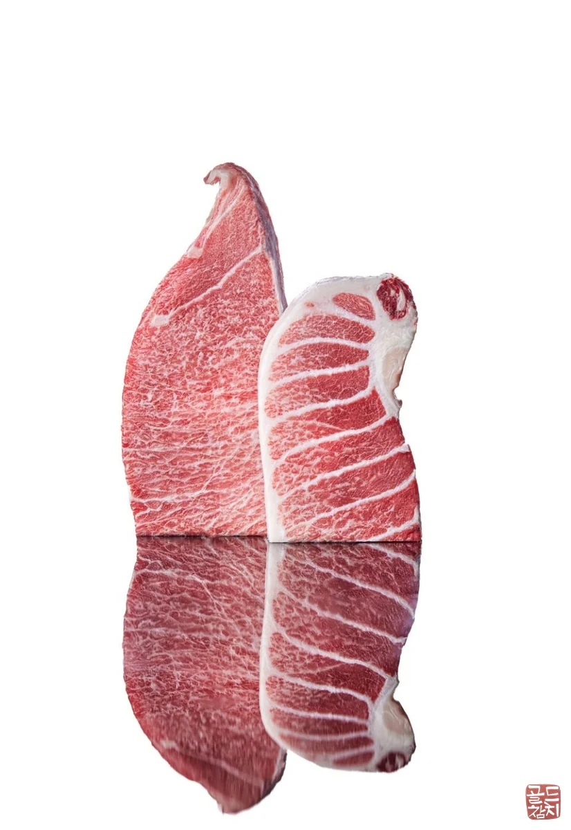 골드참치 참치 초밥 신선한 스시 맛집