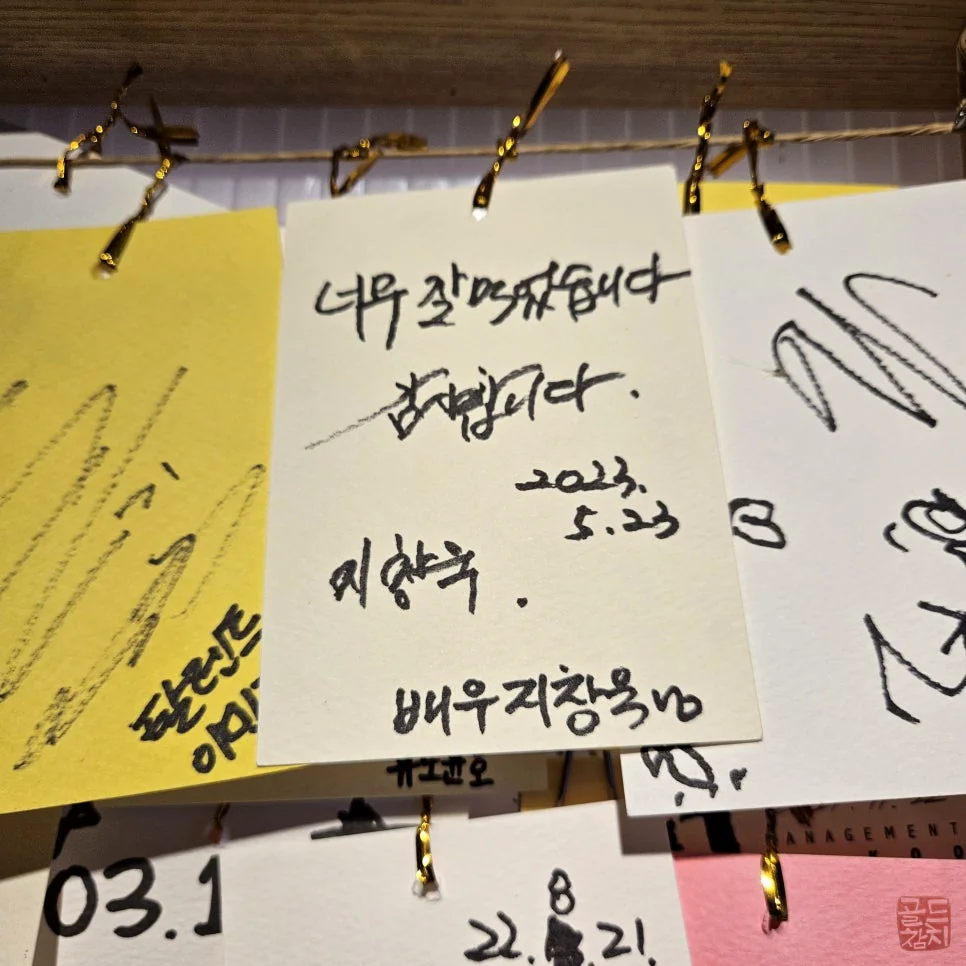 골드참치 참치 뱃살 혼마구로 특별한 날