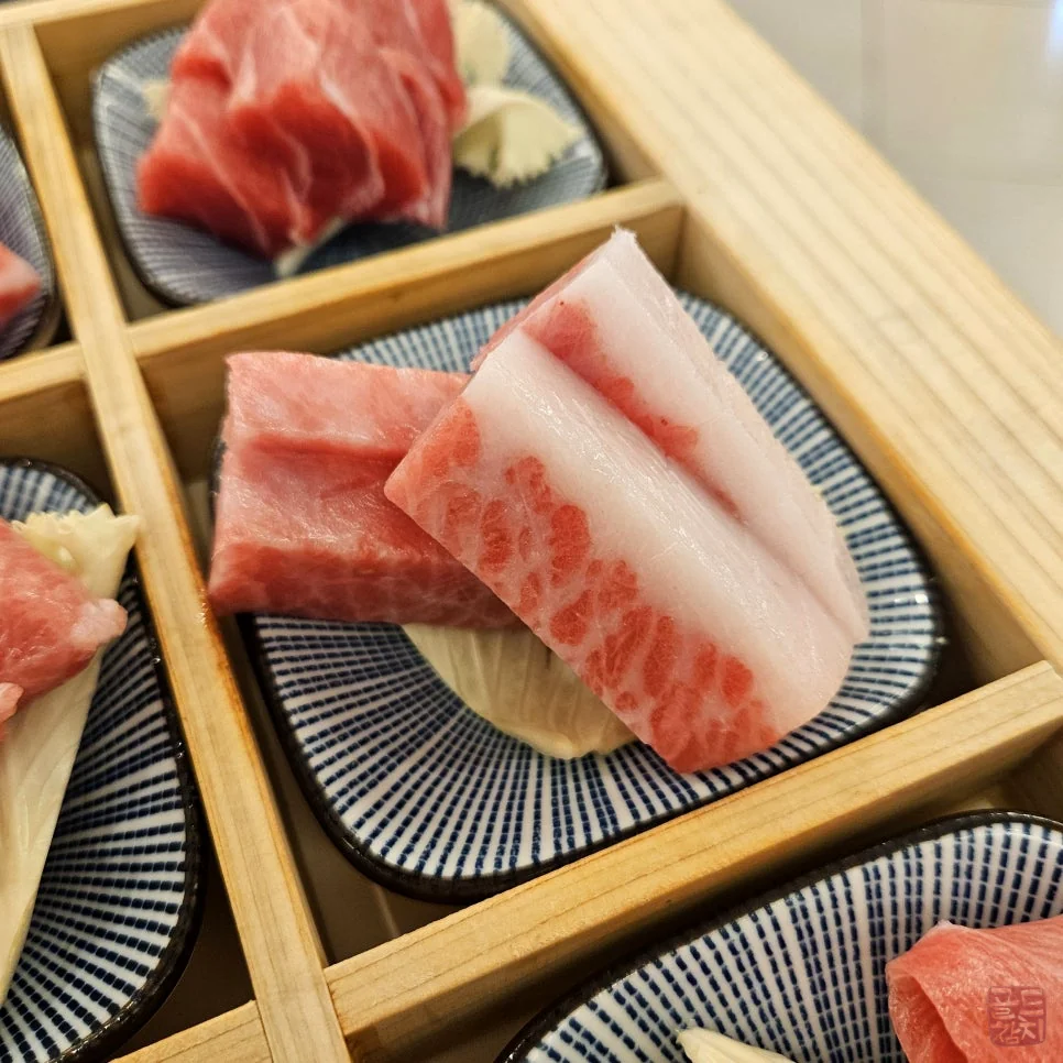 강남 골드참치 참치 뱃살 오도로 마블링 환상적인 식감