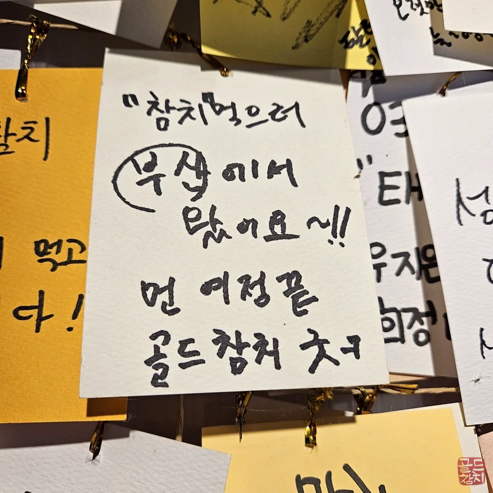 골드참치 참치 오마카세 특별한 날 데이트 식사