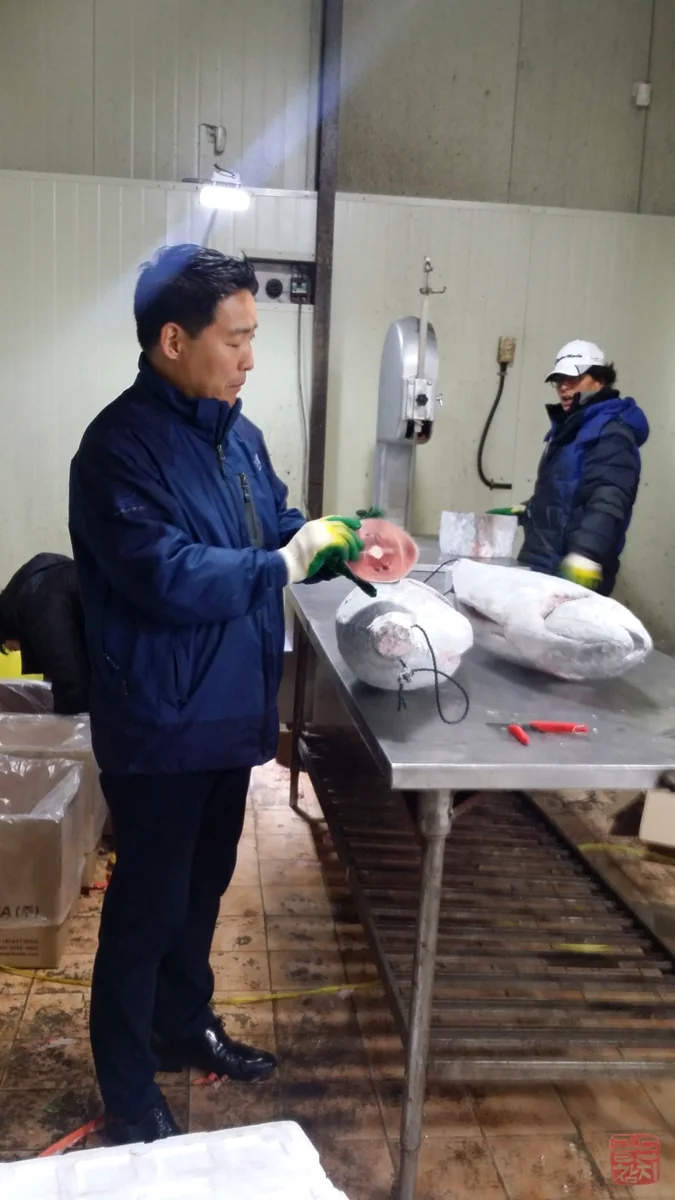 골드참치 참치 대뱃살 오도로 최상급 마블링