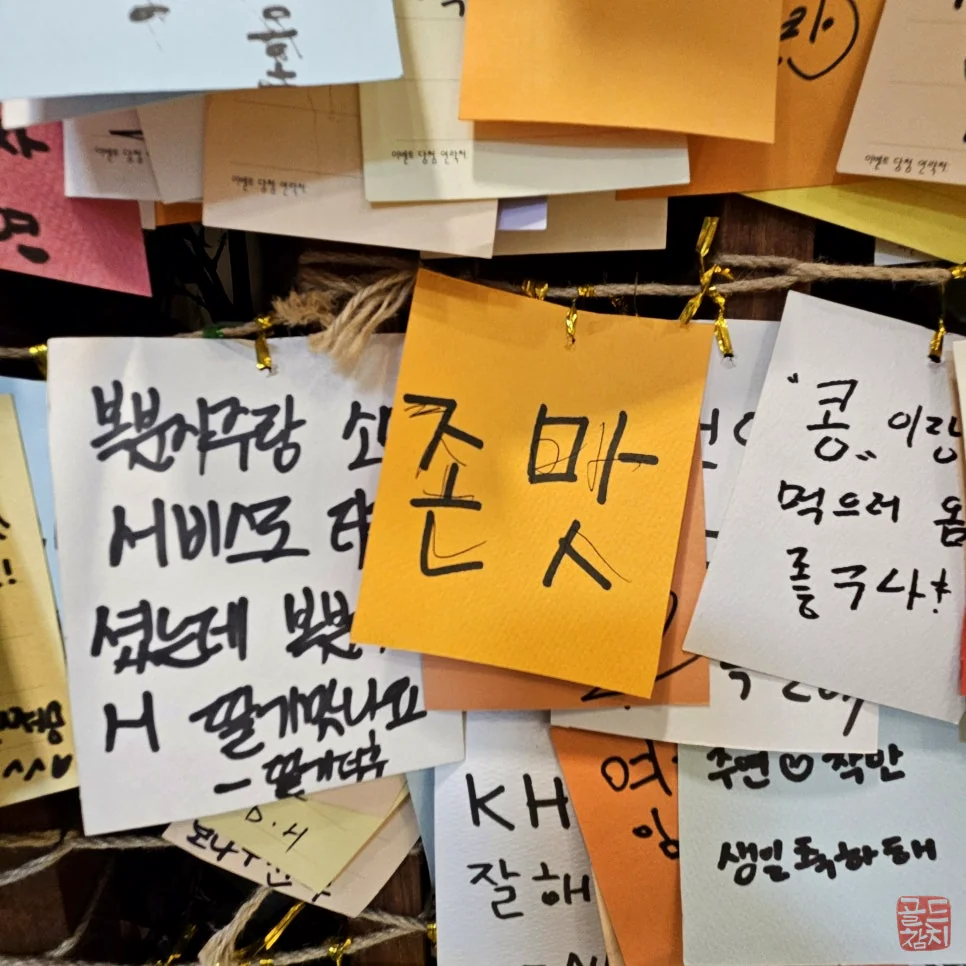 골드참치 참치회 오마카세 신선한 부위