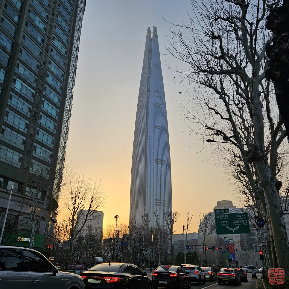 방이동 골드참치 참치회 신선한 식감 고급 요리