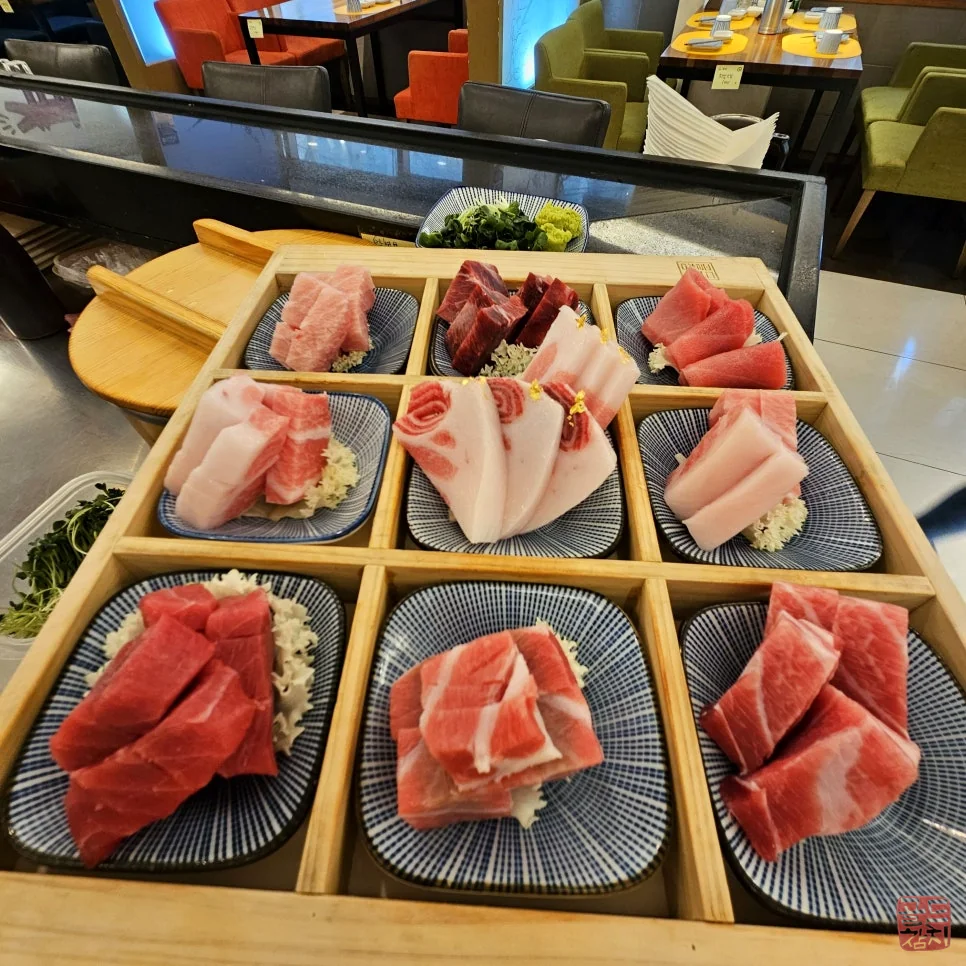 골드참치 오마카세 참치회 마블링 신선한 식감