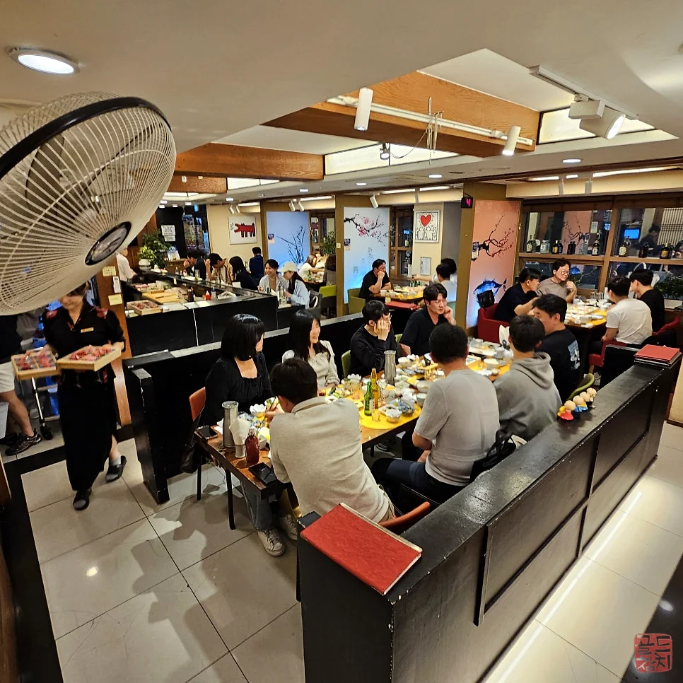 강남 골드참치 프리미엄 참치회 신선한 부위