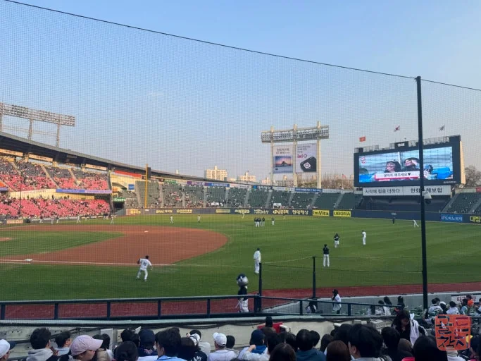 방이동 골드참치 고급 참치회 부위 신선한 식감
