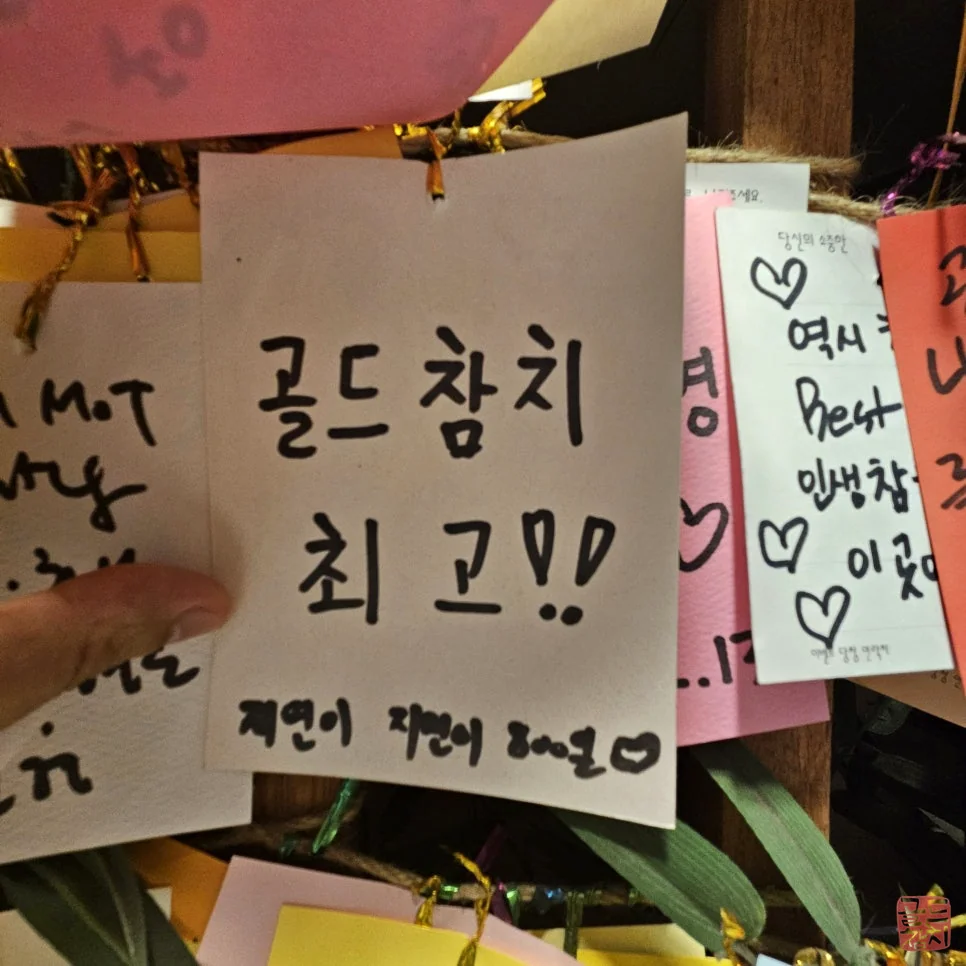 골드참치 신선한 참치회 모듬 플레이팅