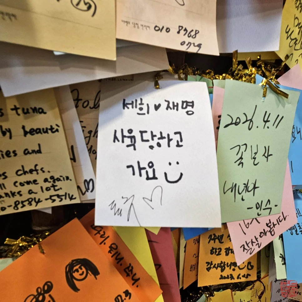 신사동 골드참치 프리미엄 참치회 오마카세 플레이팅