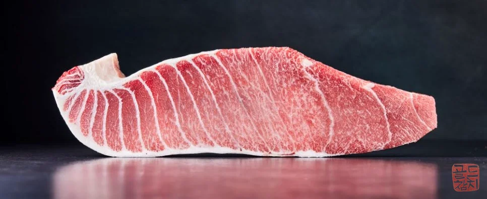 강남 골드참치 참다랑어 1번 뱃살 최상급 참치회