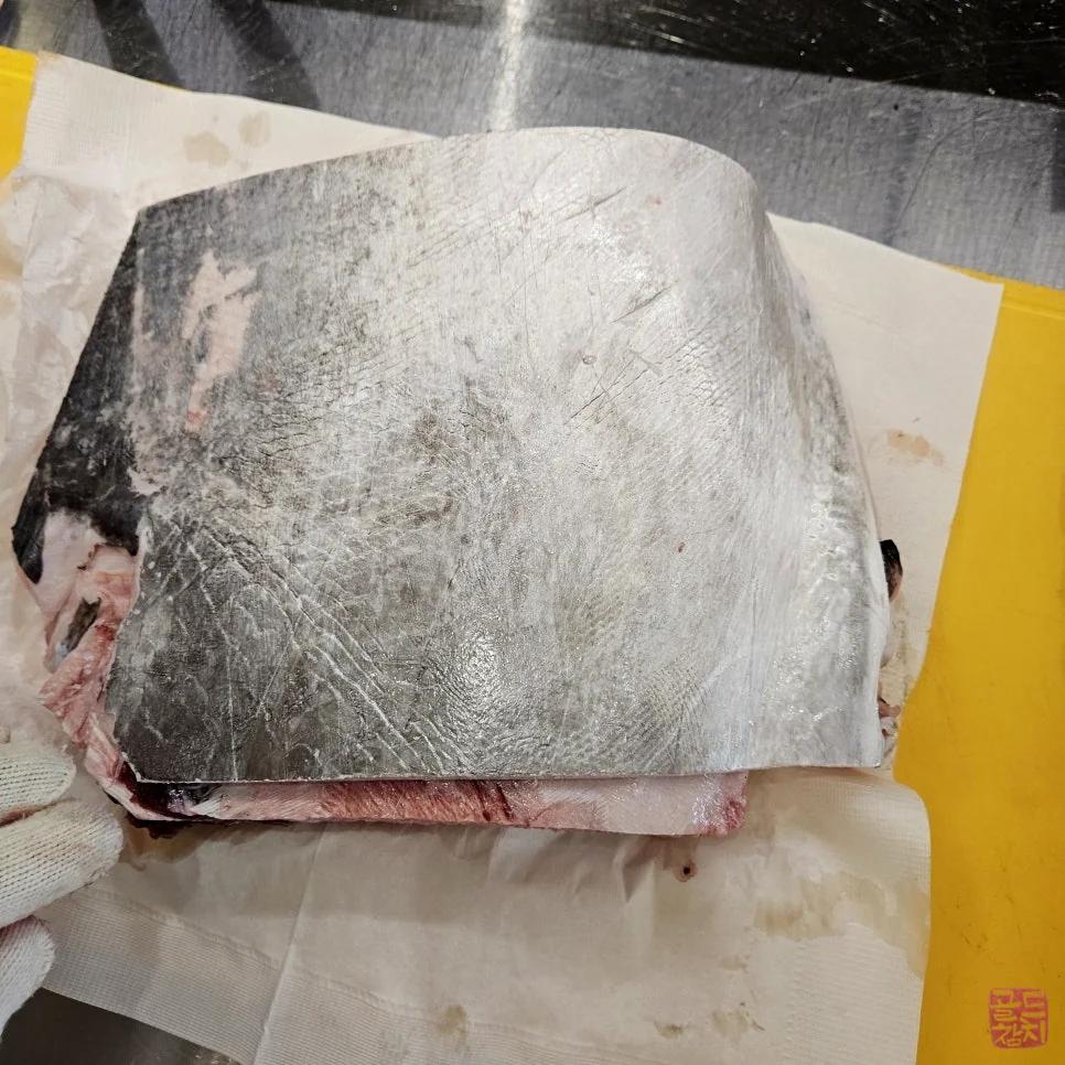 골드참치 참다랑어 해동 숙성 과정의 비법