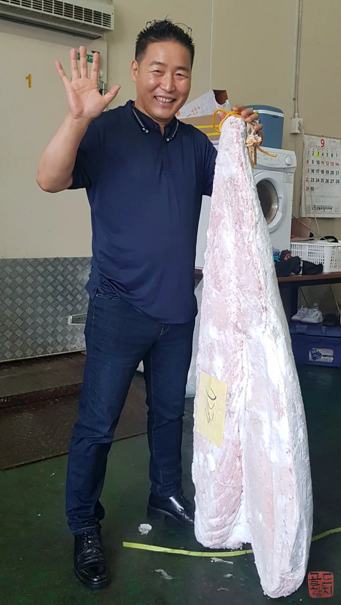 골드참치 참다랑어 뱃살 원육 해동 준비