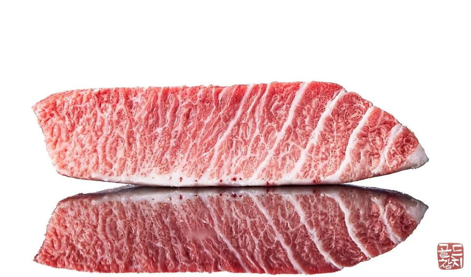 골드참치 참치 특수 부위 신선한 참치회 재료