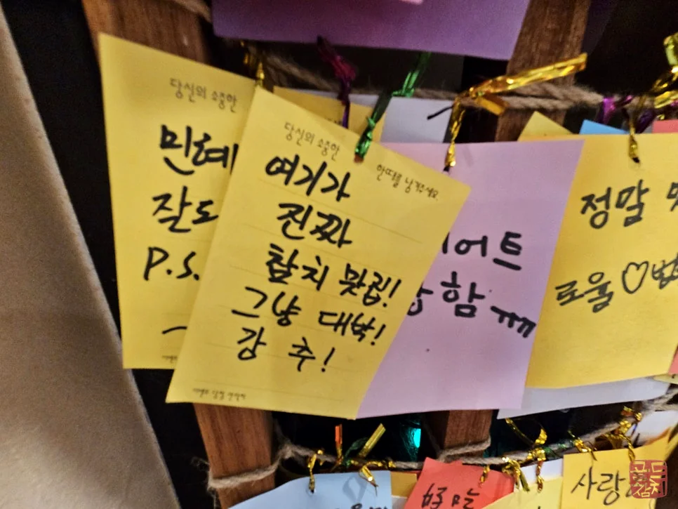 신사동 골드참치 참치 오마카세 고급 참치회
