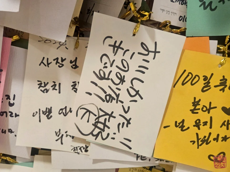 잠실 골드참치 국적 초월 감동적인 방문 후기