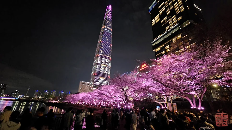 Best Jamsil Restaurant: Gold Tuna Near Seokchon Lake Cherry Blossoms