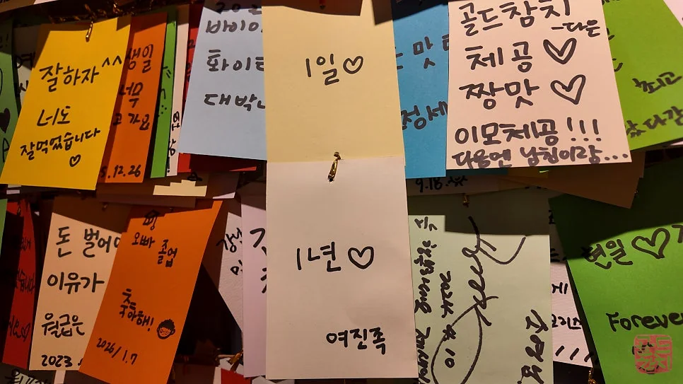 신사동 골드참치 참치 오마카세 15코스 요리
