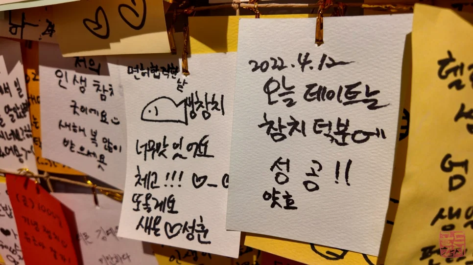 가로수길 골드참치 참치회 신선한 식감
