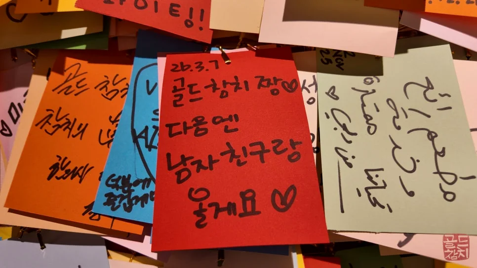가로수길 골드참치 재방문 약속 데이트 후기