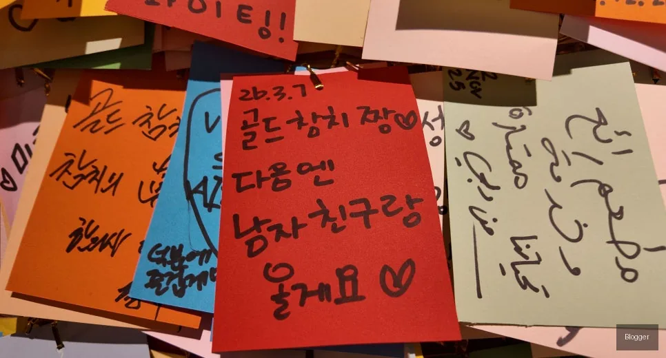 신사동 골드참치 참치 오마카세 부위별 참치회