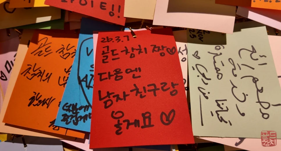 신사동 골드참치 참치 오마카세 부위별 참치회