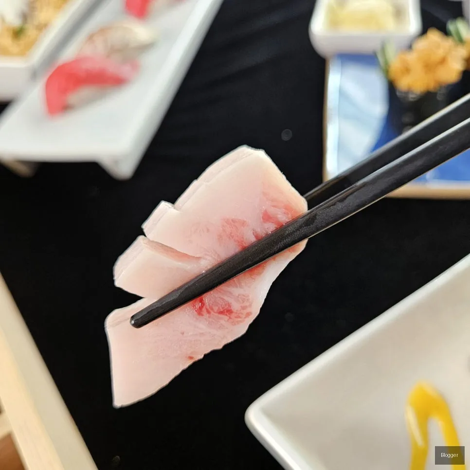 골드참치 황새치 뱃살 참치회 손질과 품질