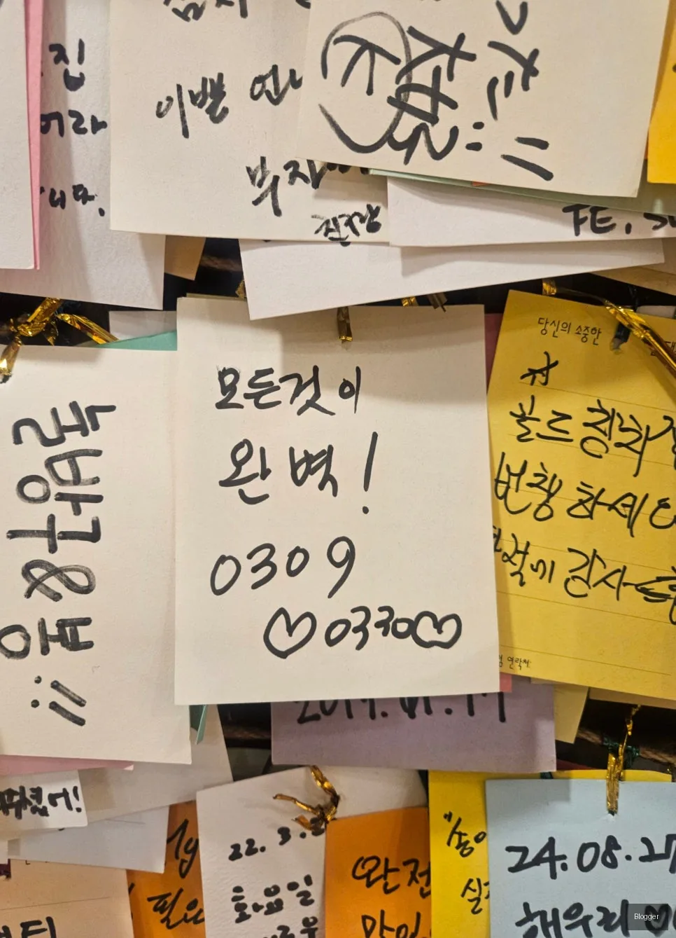 방이동 신사동 골드참치 고객 만족 후기
