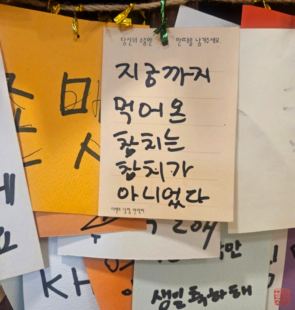 방이동 신사동 골드참치 고객 후기 방문 리뷰