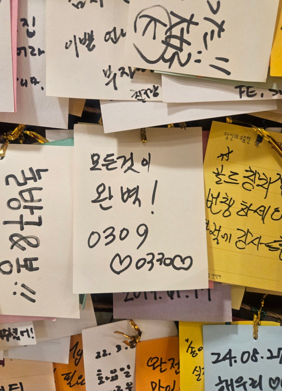 방이동 신사동 골드참치 고객 만족 후기