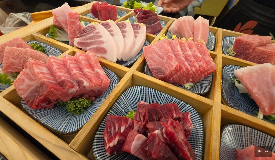 방이동 골드참치 참치회 해동 숙성 과정