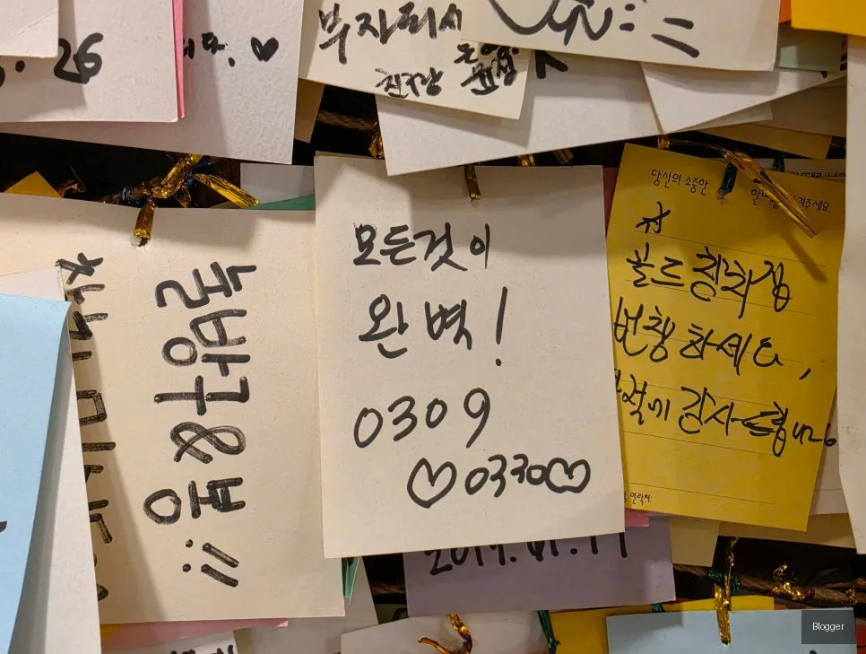 방이동 골드참치 고객 리뷰, 손님들의 진심
