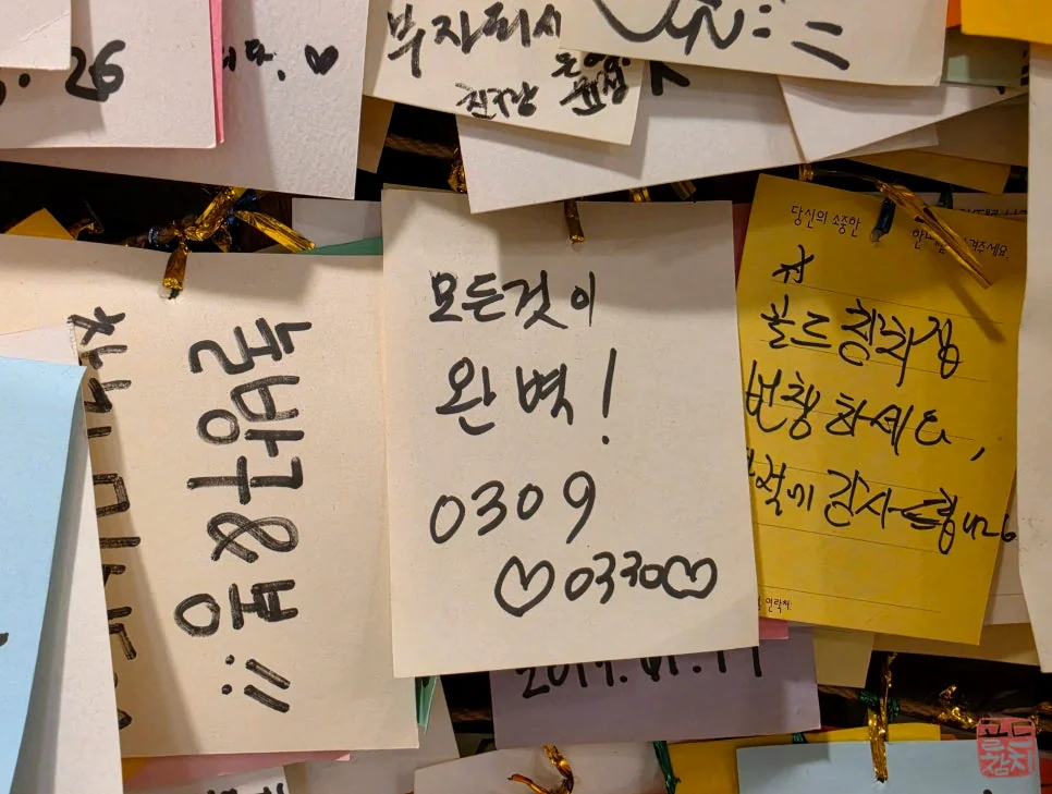 방이동 골드참치 고객 리뷰, 손님들의 진심