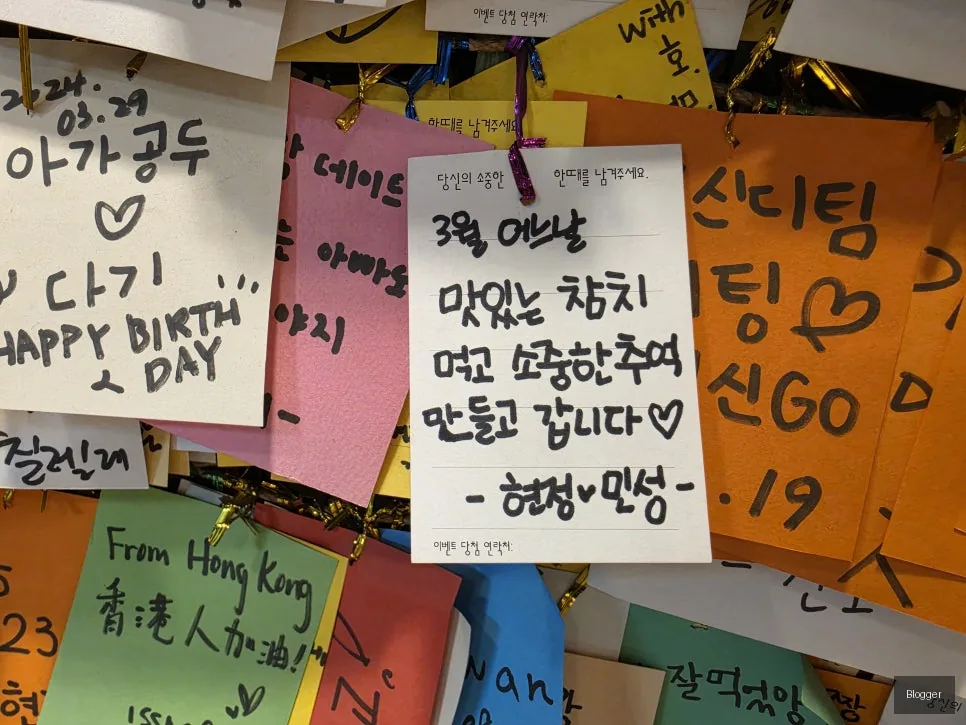 골드참치 프리미엄 참치회, 최상급 오마카세, 특별한 식사