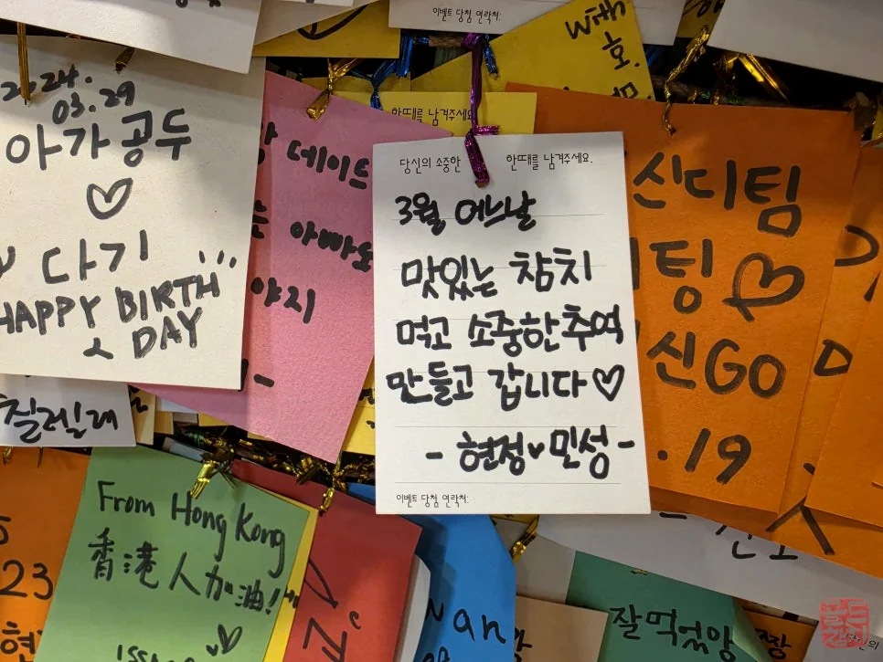 골드참치 프리미엄 참치회, 최상급 오마카세, 특별한 식사