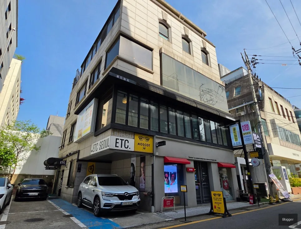 신사동 골드참치 참치회 오마카세 고급스러운 식감