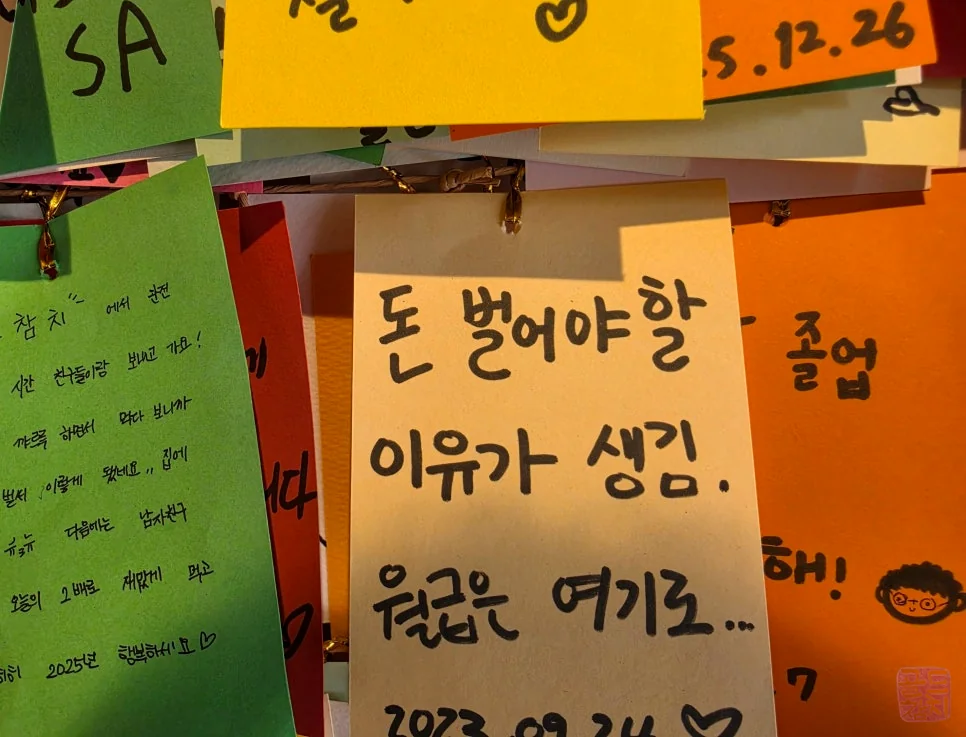 신사동 골드참치 참치회 고급 부위 플레이팅