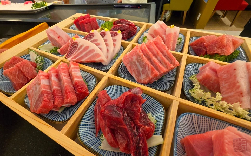 방이동 골드참치 참다랑어 날갯살 가맛살 가마뱃살 참치회