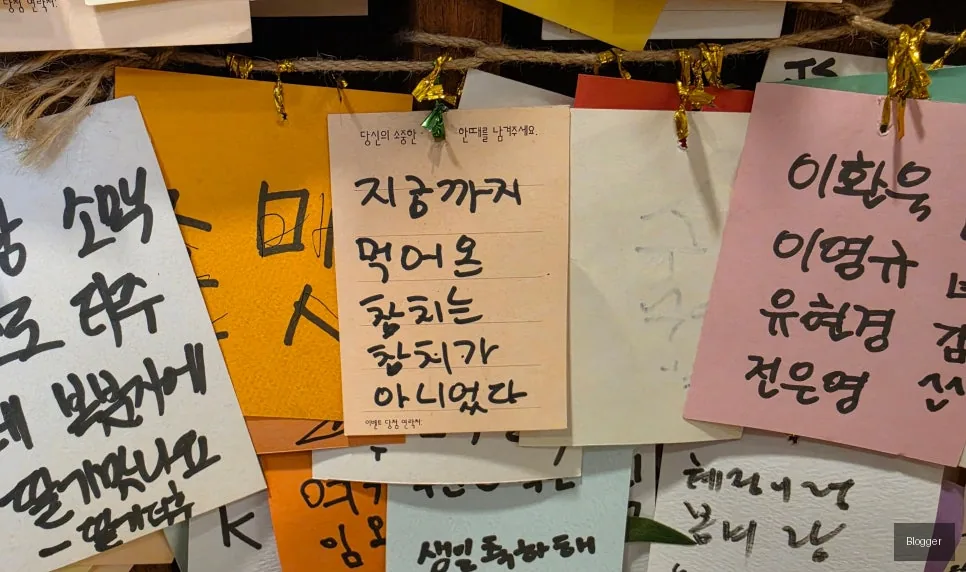 방이동 골드참치 프리미엄 참치회 고급 부위 식감