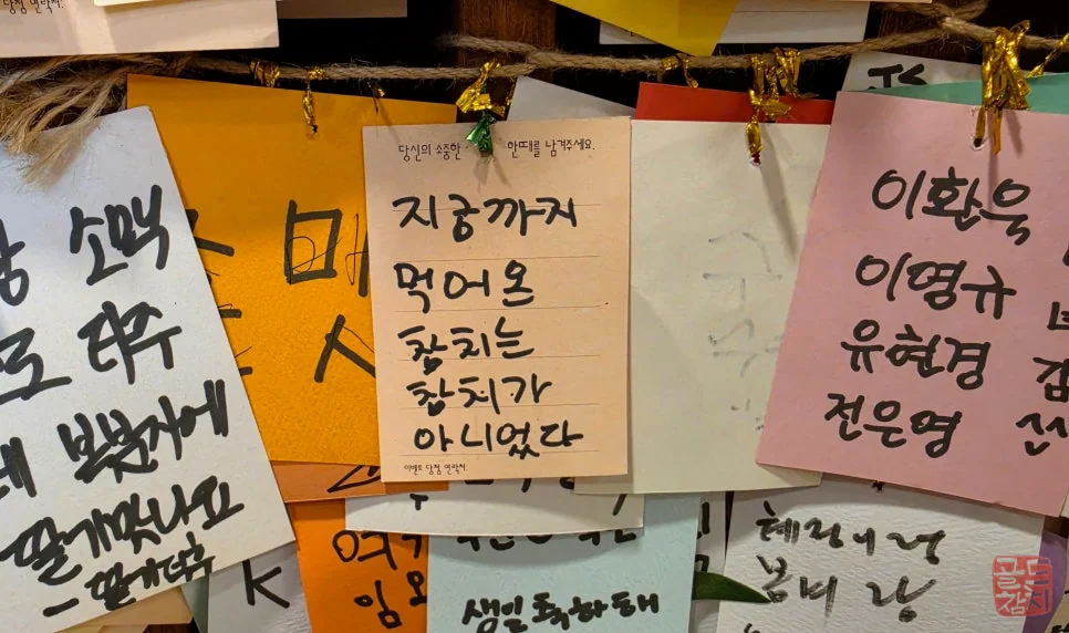 방이동 골드참치 프리미엄 참치회 고급 부위 식감
