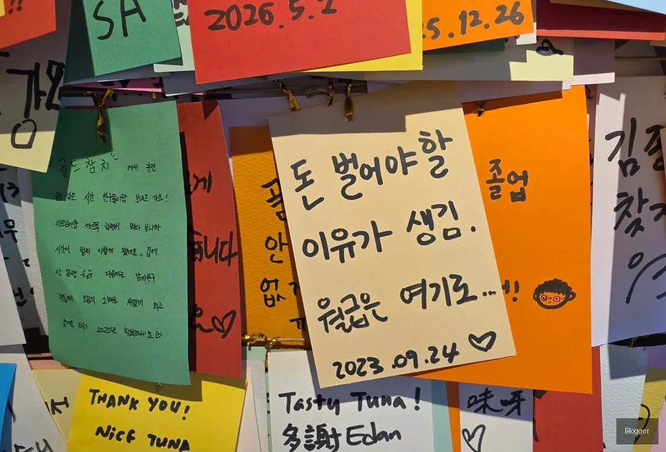 신사동 골드참치 고객 방문 후기 리뷰 만족도