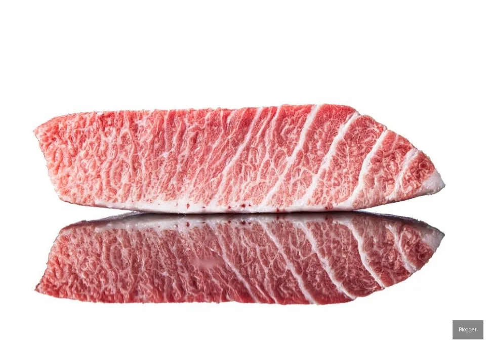 Gold Tuna bluefin tuna No.1 belly, prime cut, expertly prepared