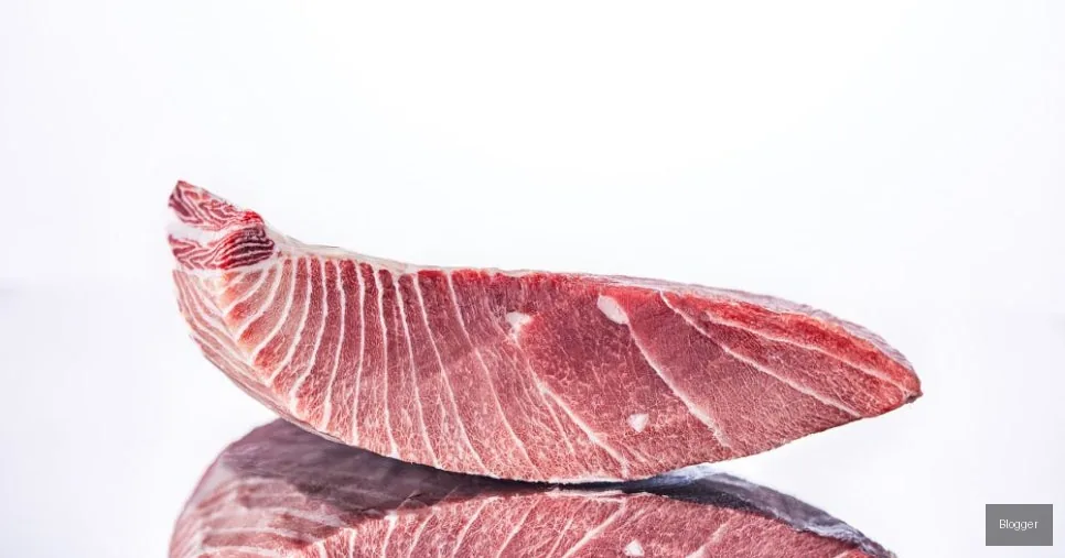 Gold Tuna prepared Southern bluefin tuna (Minami), premium tuna sashimi