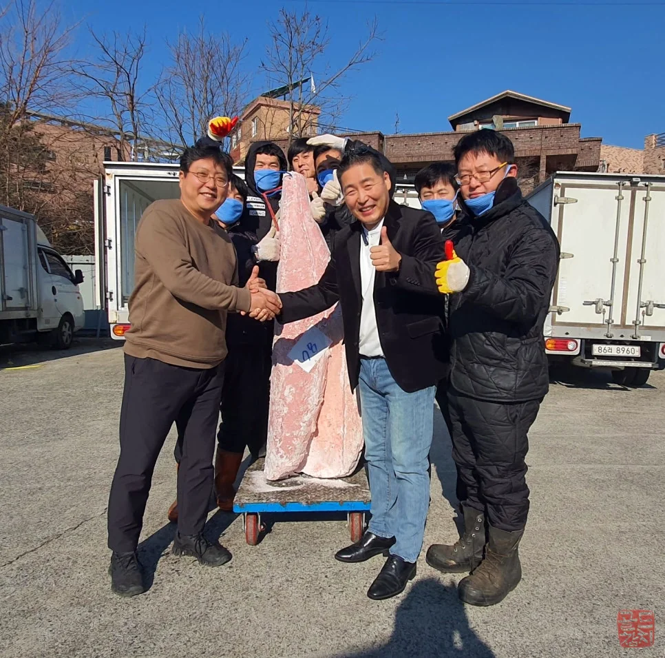 Goldtuna purchasing large Bluefin tuna raw material over 400kg