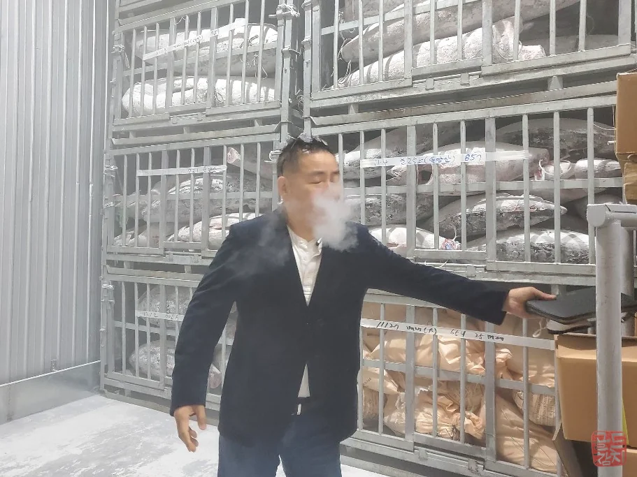 Goldtuna bluefin tuna raw material selection quality control freezer