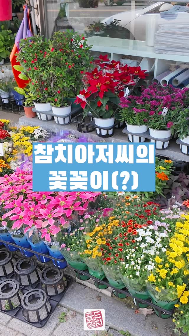 12년의 역사를 가지고 있지만, 향기가 나는 가게이고 싶습니다. 그 마음으로 종종 화원에 방문해서 꽃과 화분을 나르고 있답니다.