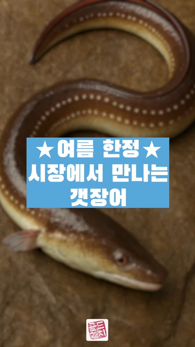 직원들 점심에 보양하라고 갯장어랑 조기를 사들고 갑니다. 직원들이 행복해야 건강한 서비스가 가능하지 않겠어요?