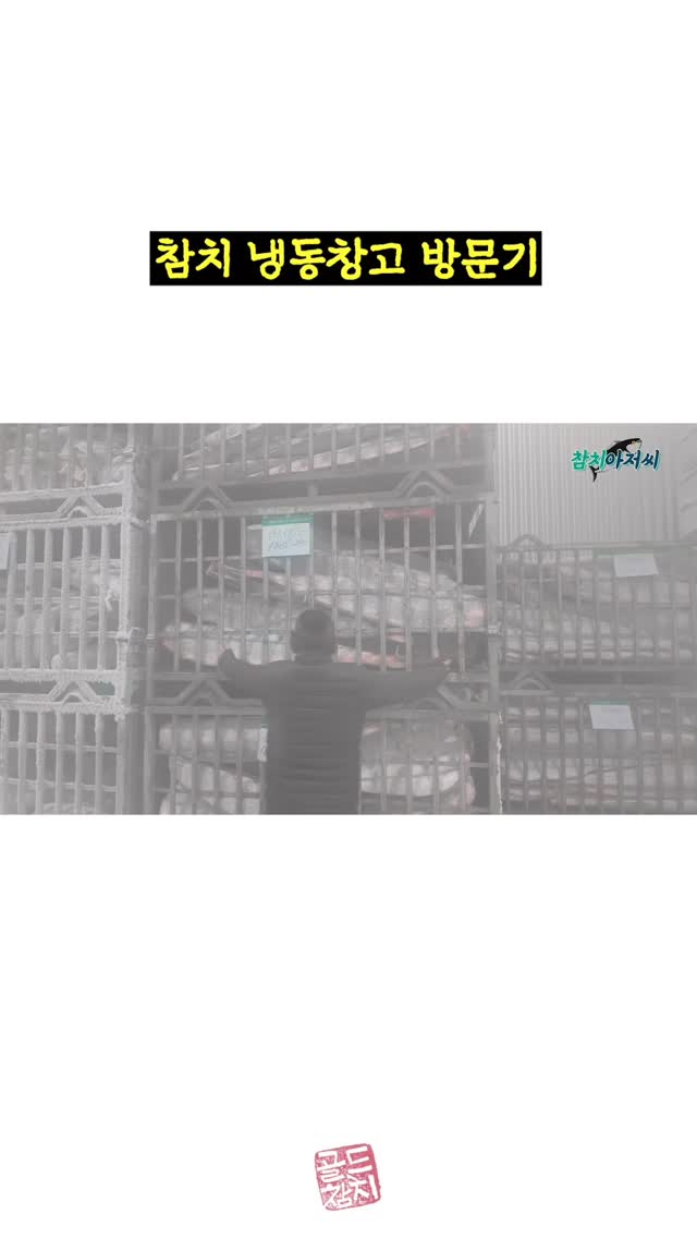 참치 냉동창고 내부랍니다. 참지는 냉동시설이 없었을 때, '고양이도 안먹는 생선'이였지요.